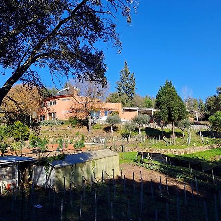 Отель Quinta Dos Sarilhos Педроган-Гранди Экстерьер фото