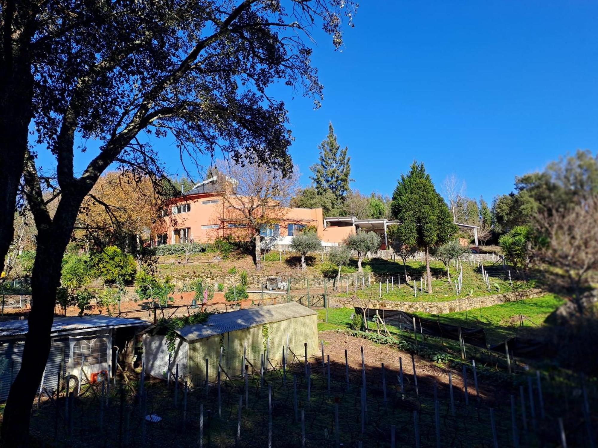 Отель Quinta Dos Sarilhos Педроган-Гранди Экстерьер фото